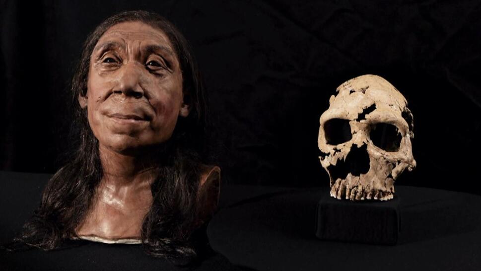3D Facial reconstruction, skull