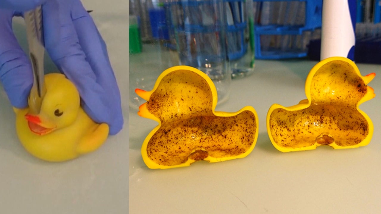 to fungi how remove Ducky Your See the Gross in Rubber Lurking Bacteria