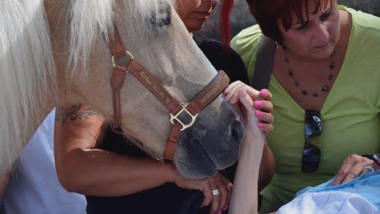 Woman Granted Dying Wish To See Her Horse One Last Time Inside Edition