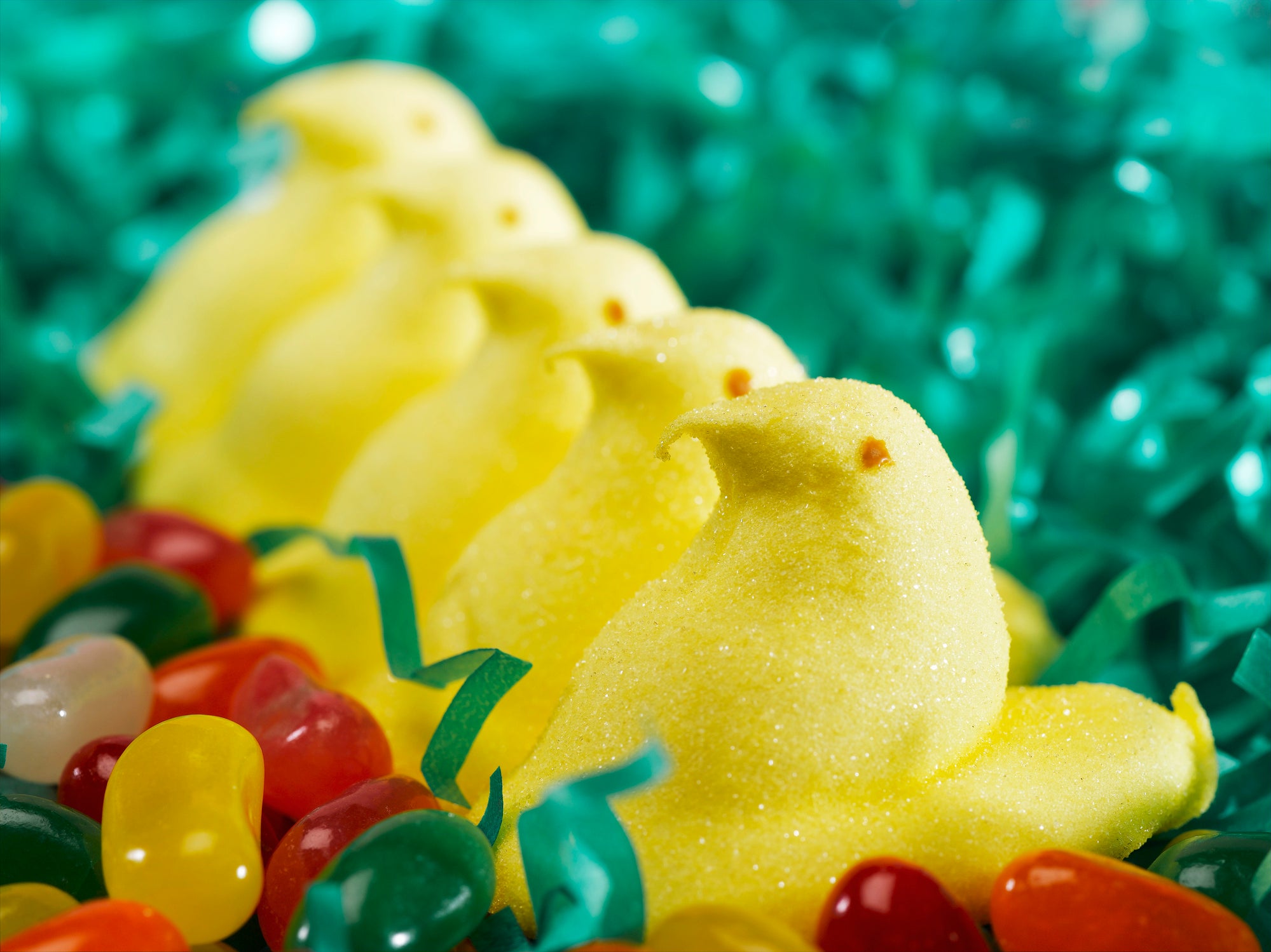 Yellow marshallow chicks sitting side by side