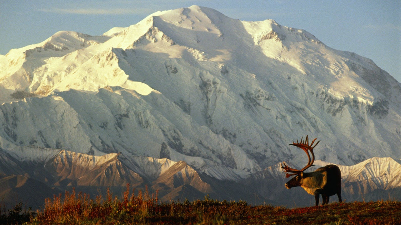 Denali Mountains