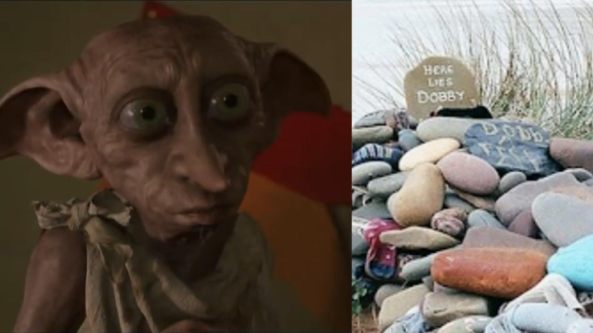 Harry Potter Fans Can't Stop Joking About The Creepy Dobby Lookalike In  Viral Video