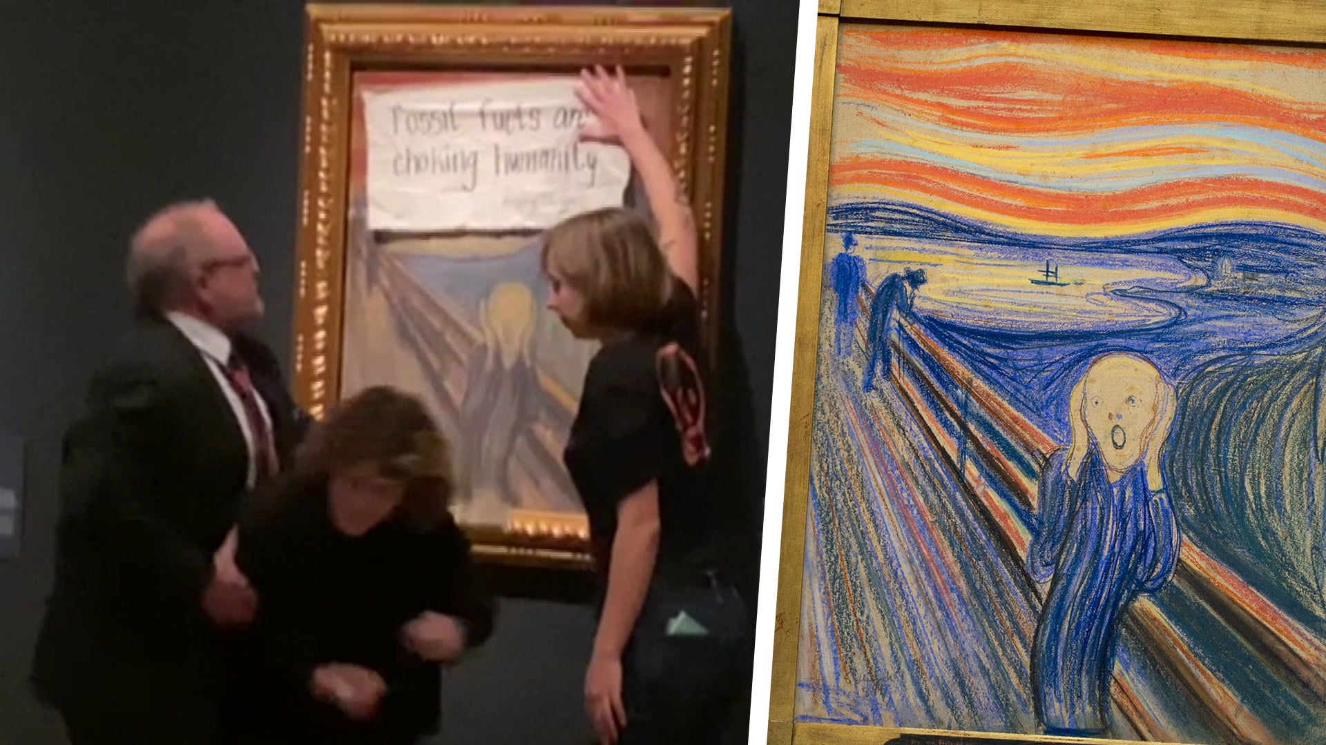 Climate activists fail to glue themselves to 'The Scream' painting in  Norway: 'I scream for people dying