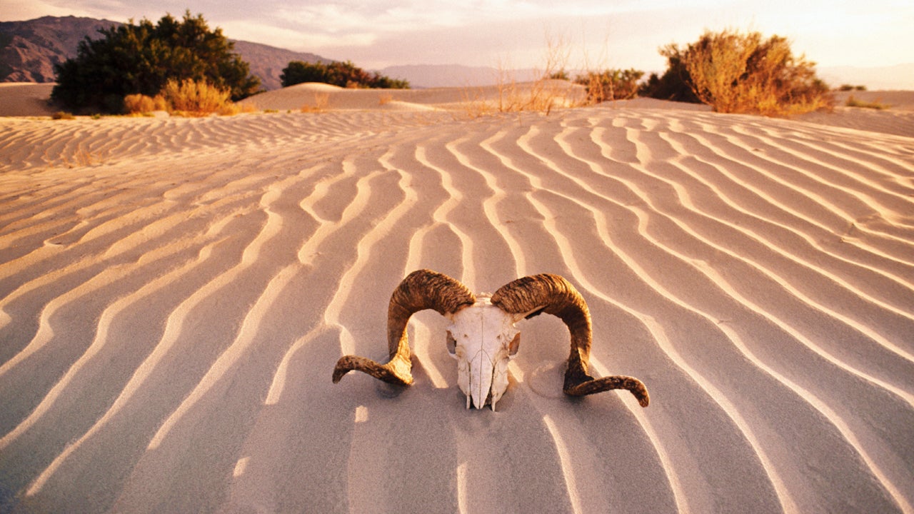 Death Valley's Intense Heat Still Attracting Tourists Despite