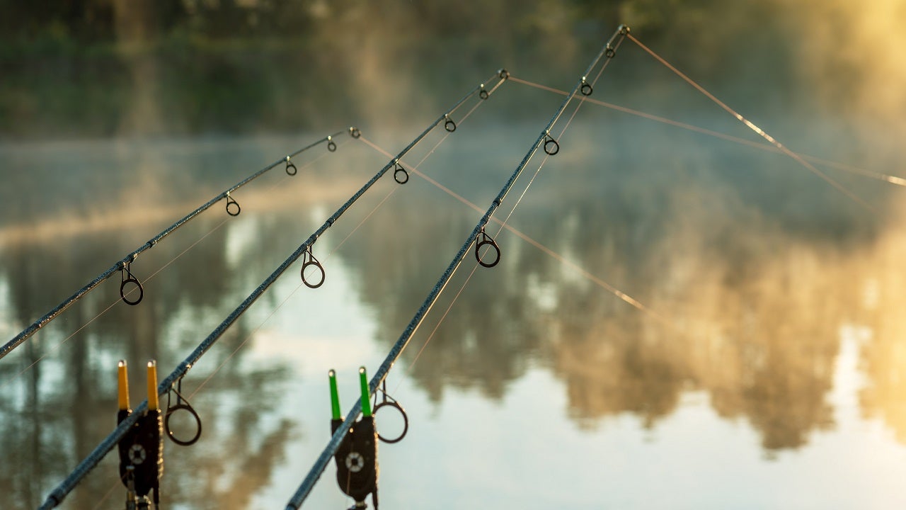 Kids Fishing Find Human Leg