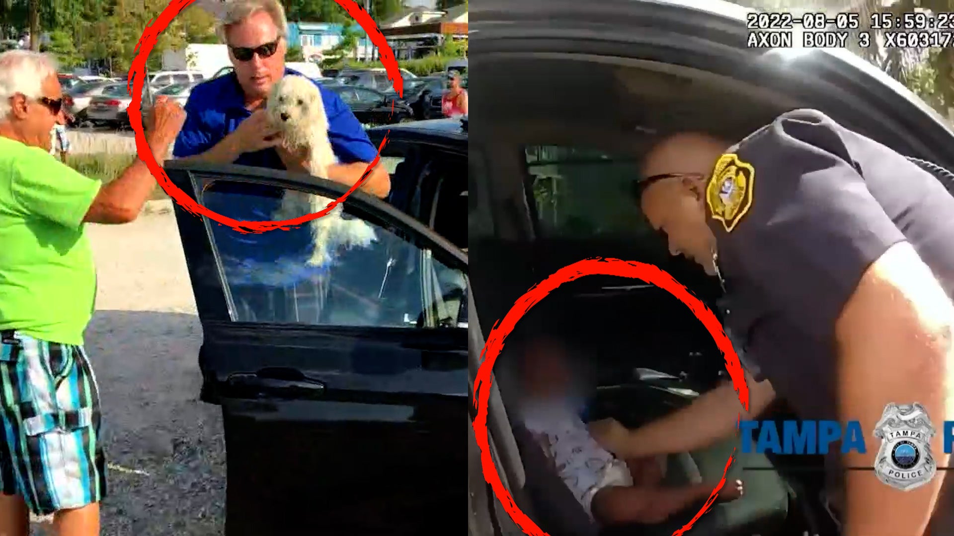 Moments When Animals and Children Were Rescued From Hot Cars