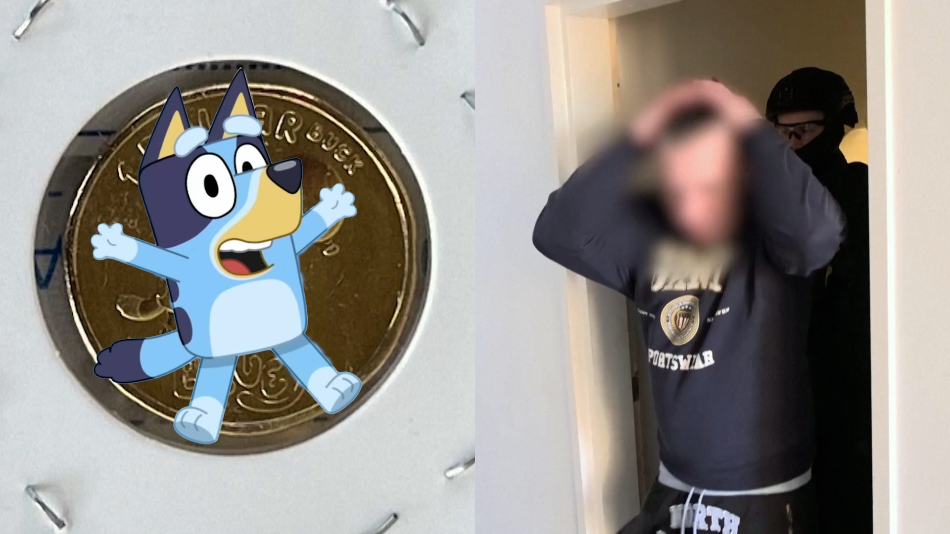 Unreleased 'Bluey' Collector's Coins Worth Nearly $400,000 Stolen: Cops