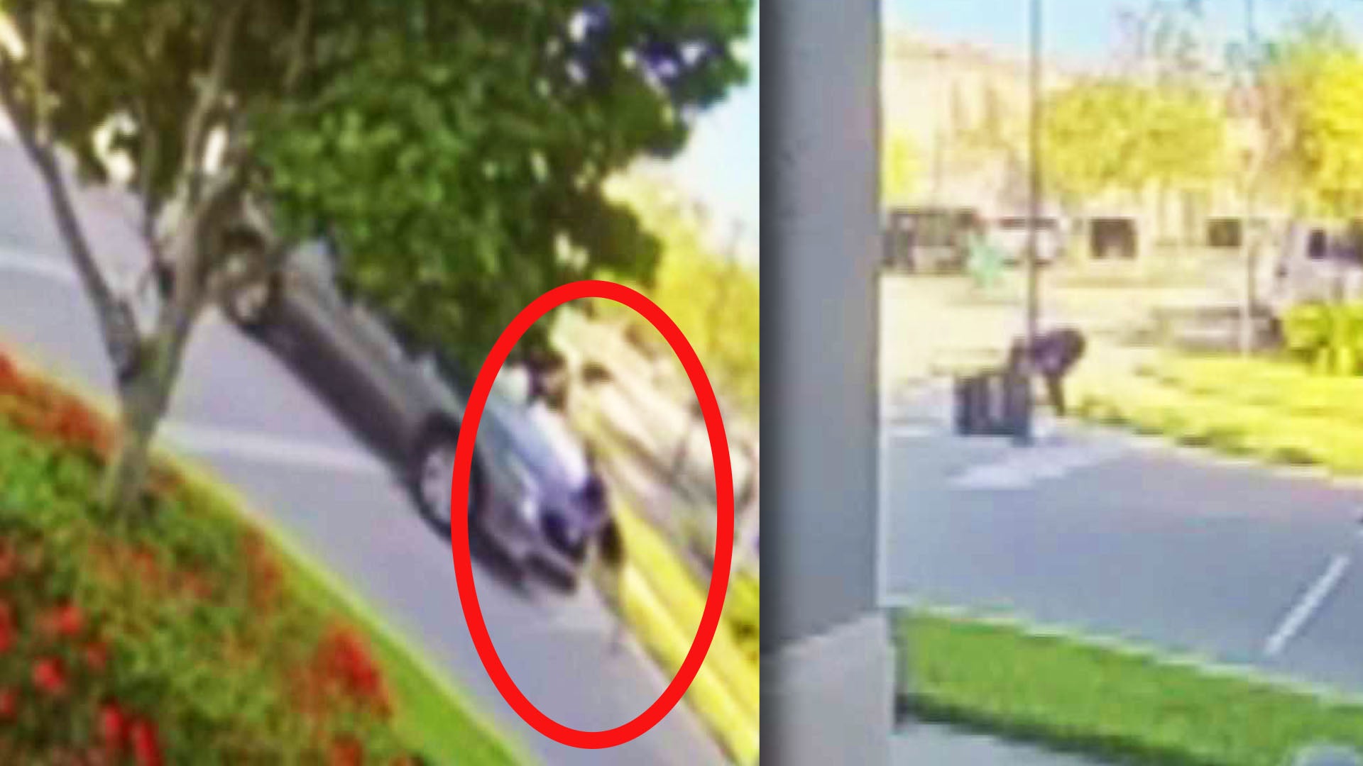 Surveillance image of car hitting woman with stroller and dog / Surveillance image of driver putting baby back into stroller