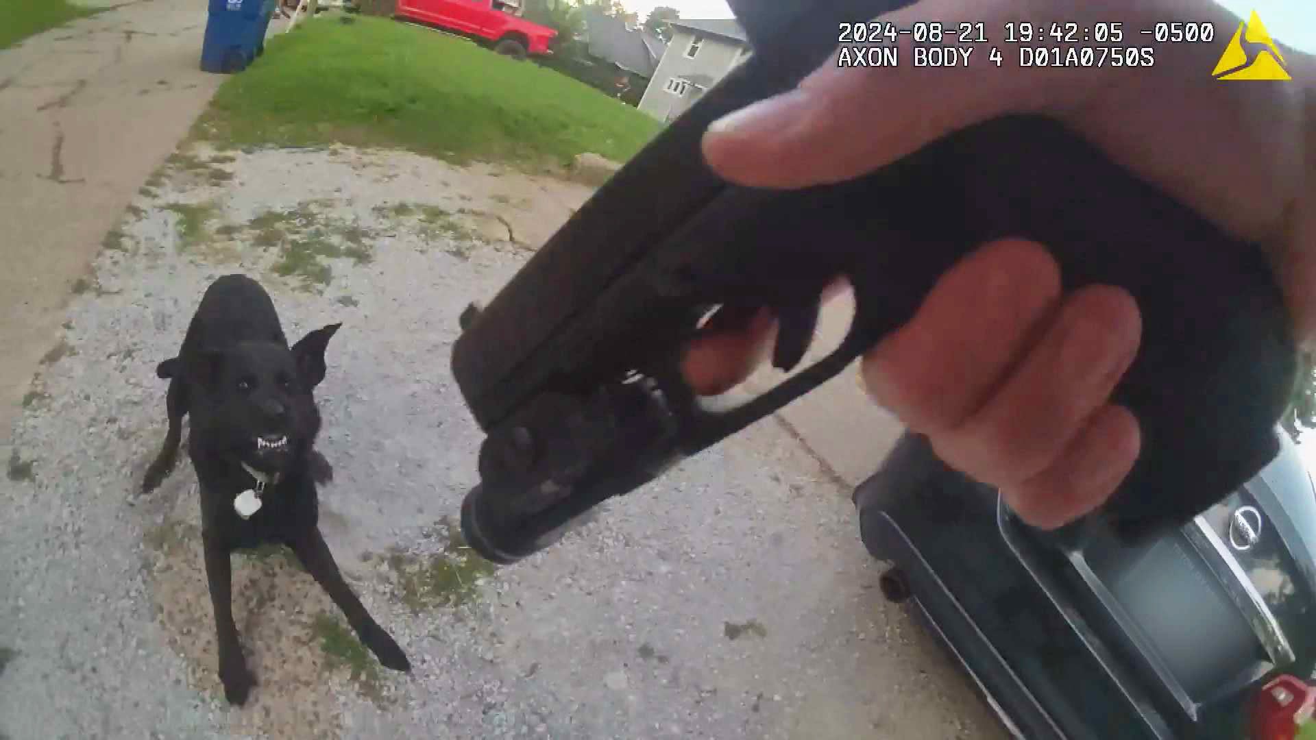 Still image from bodycam video showing an officer pointing his gun at a black lab