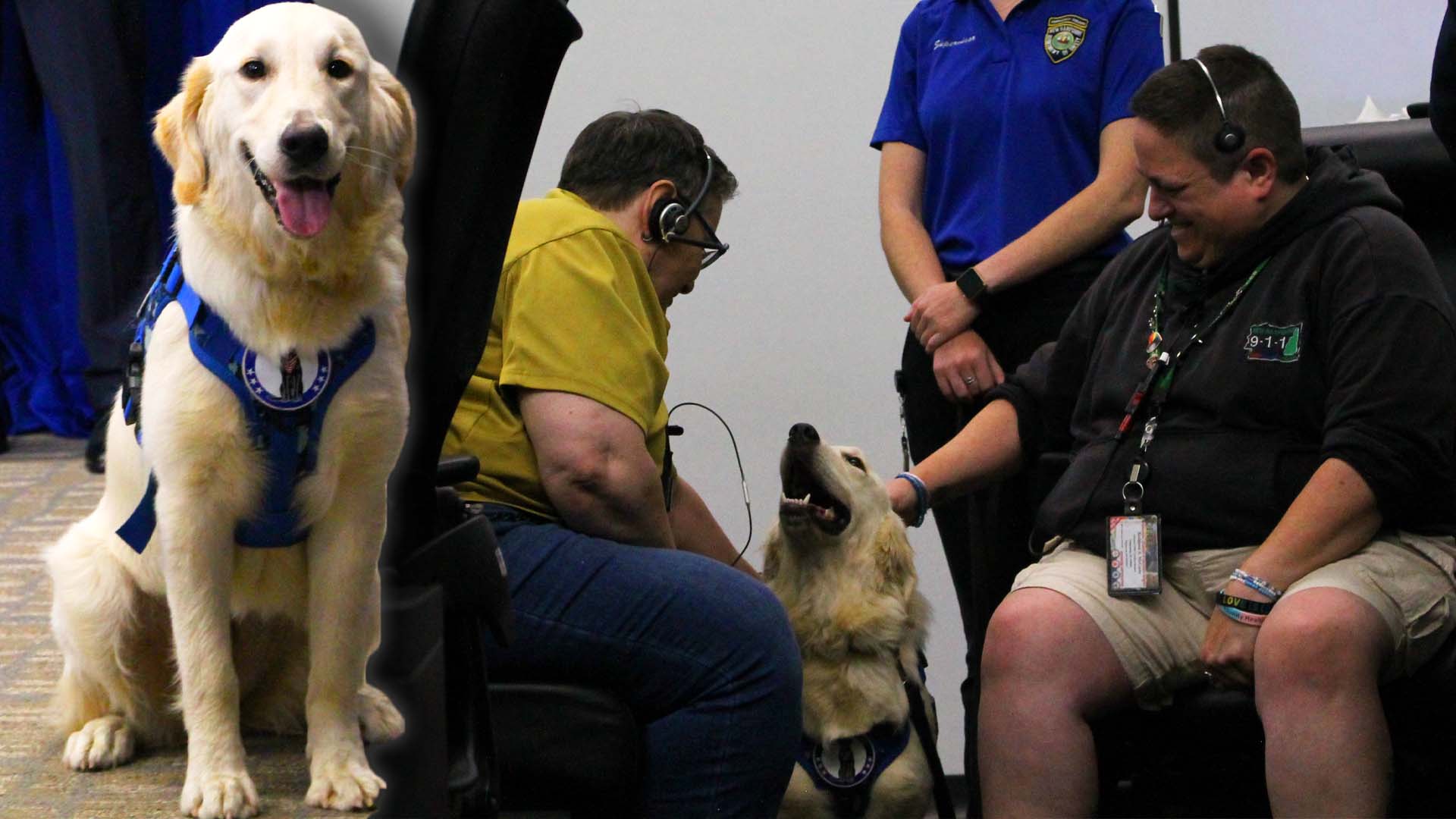 "Comfort dog at 911 call center"