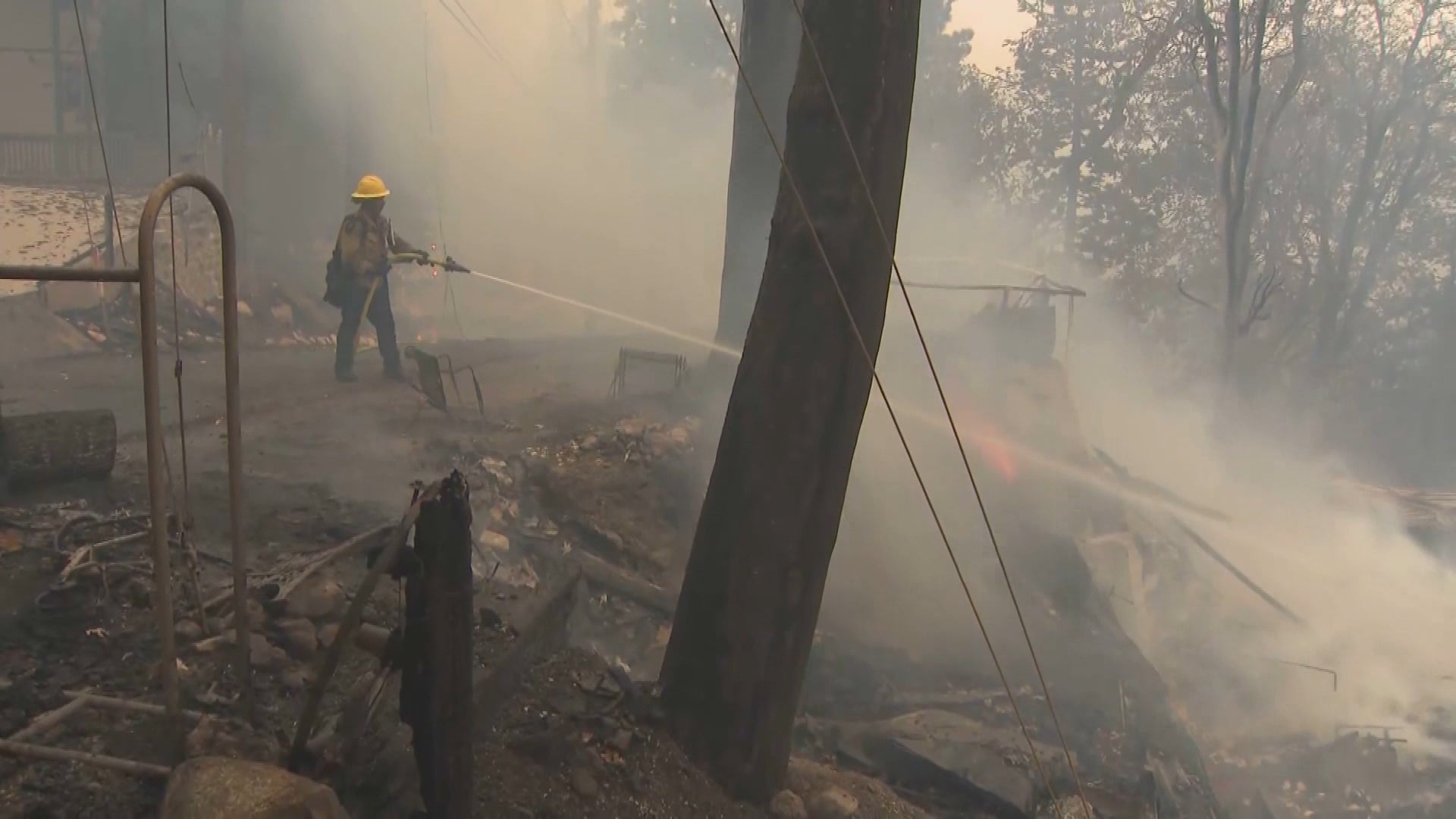 Firefighter sprays water in burned forest