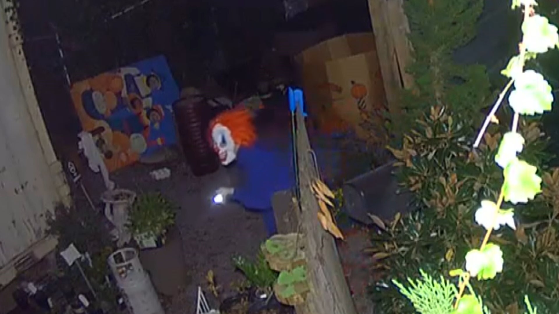 Clown lurking in a garden.