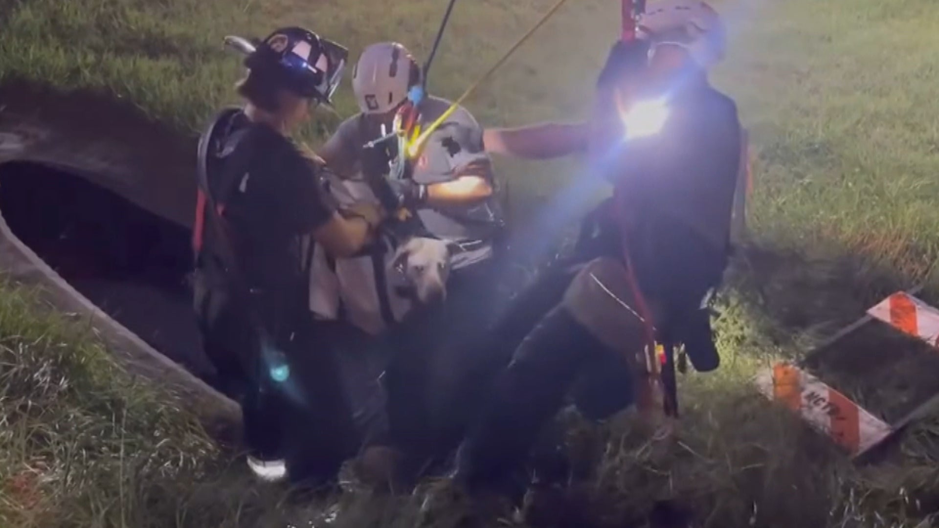 Firefighters rescuing dog