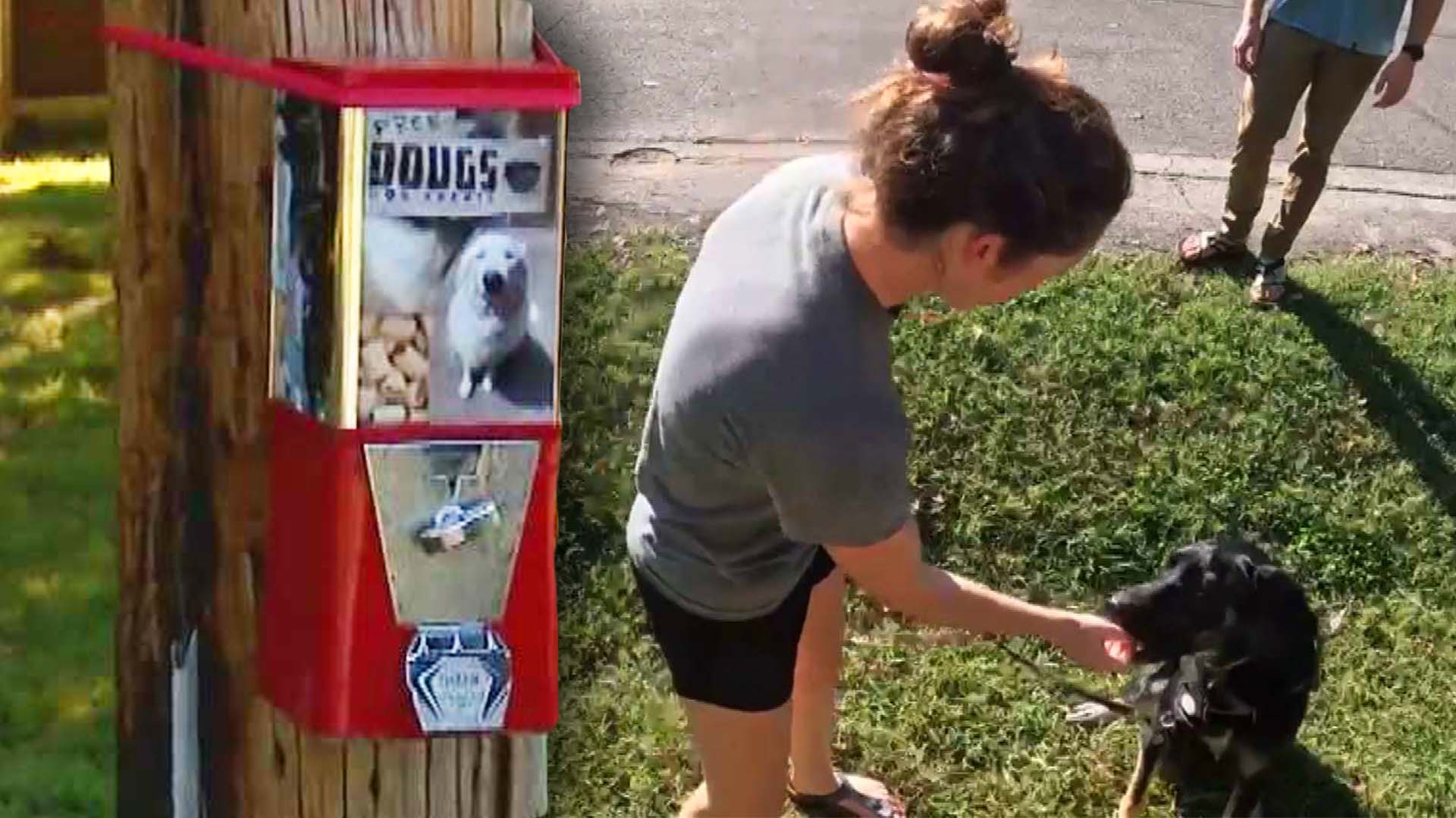 Doug Owen set up a free dog treat dispenser outside his Tennessee home.