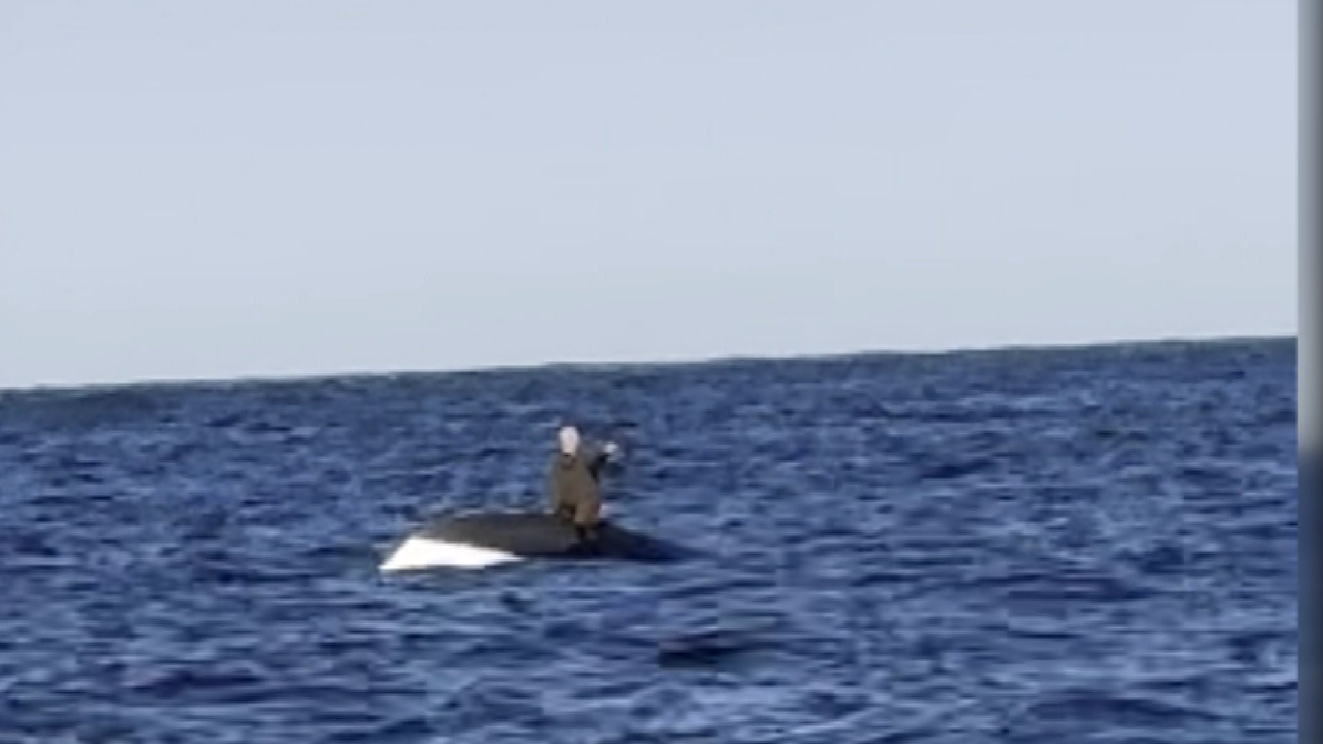 Man Clinging to Capsizing Boat