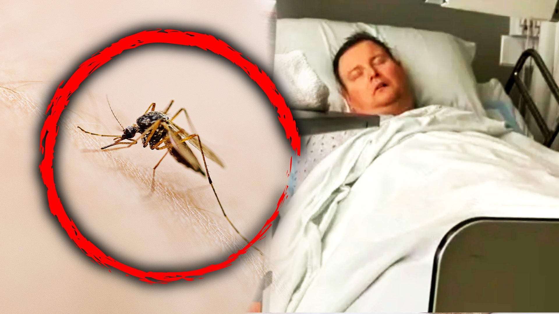 Mosquito/ hospitalized man