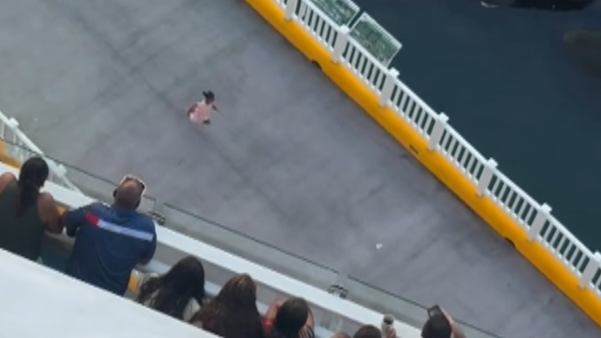 Toddler Running to Board Cruise Ship