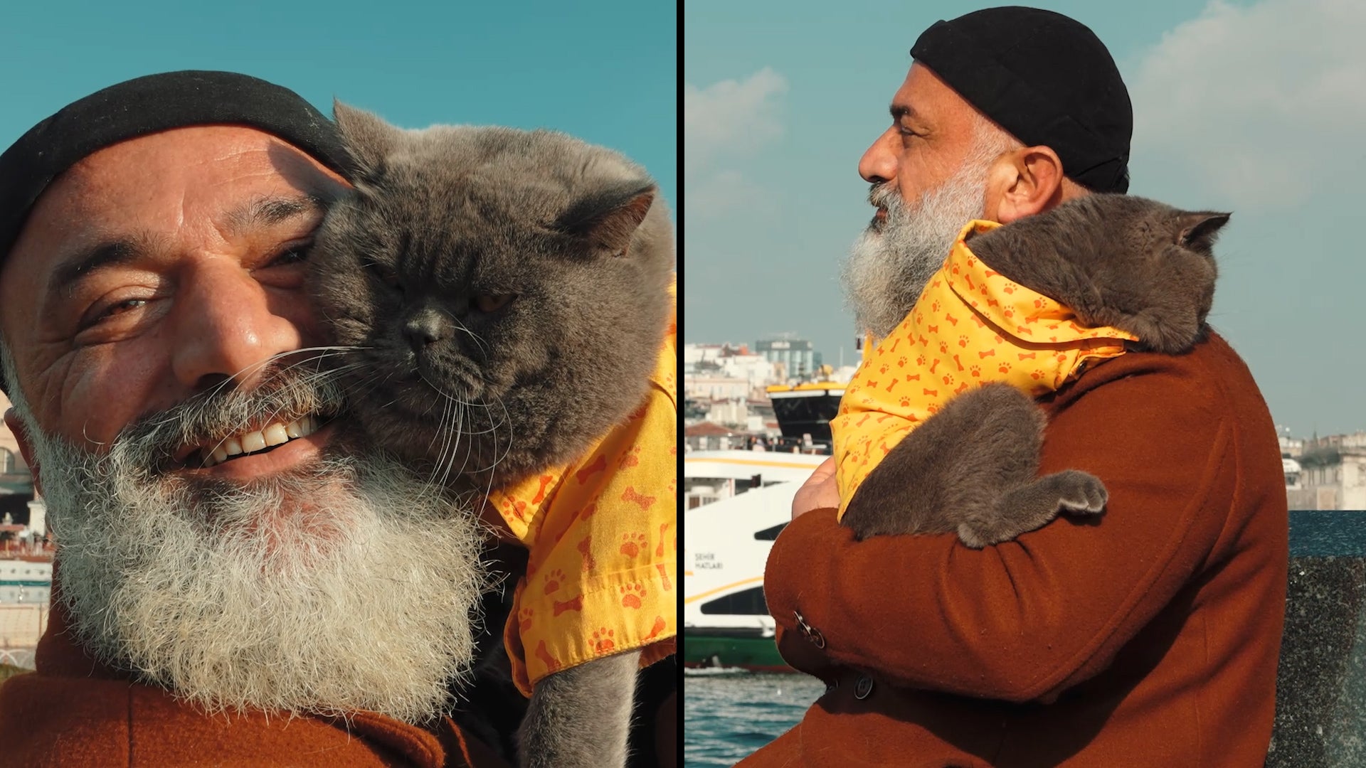 Man Who Walks Around Istanbul With Cat on His Shoulder is Popular