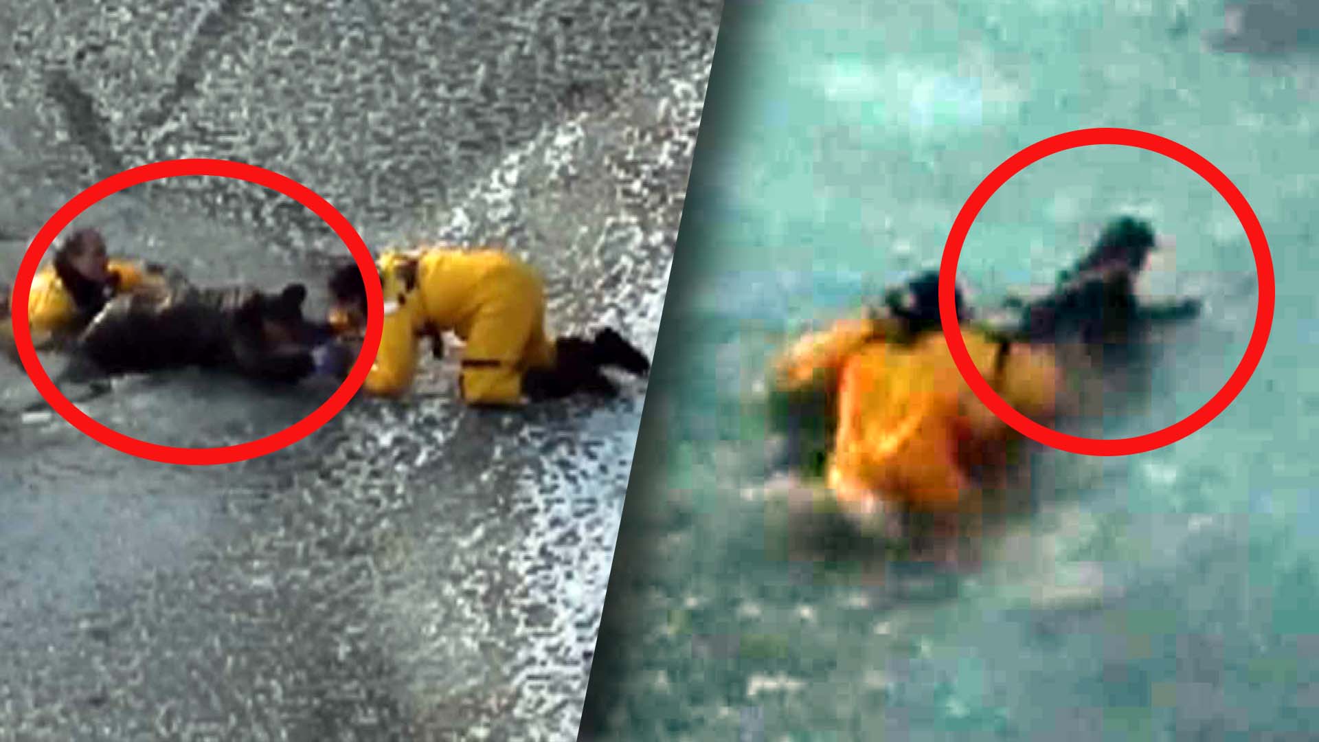 firefighters rescuing dog and owner from icy water in a red circle