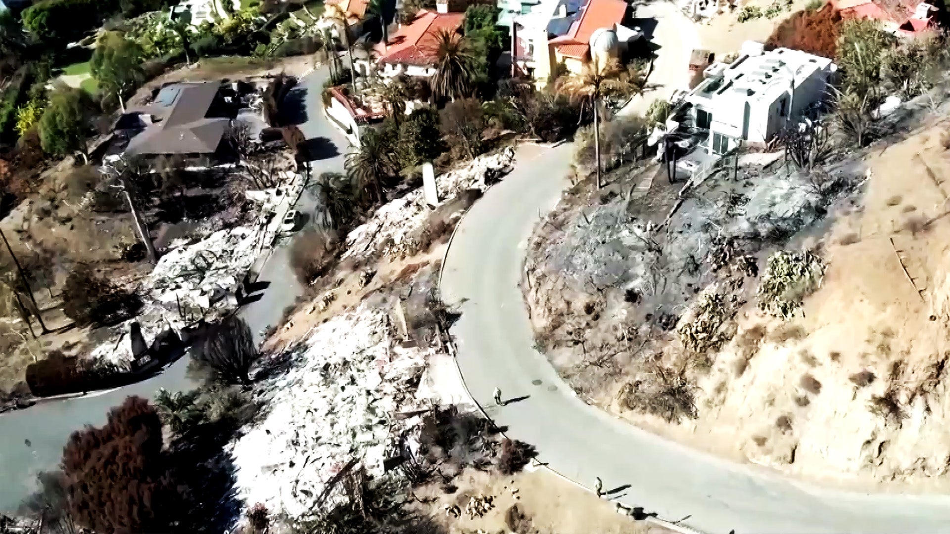 Are Some Houses Left Standing From Los Angeles Wildfires Still Habitable?