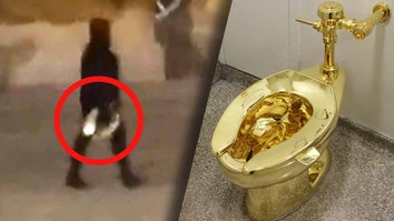 This is How to Steal a $6 Million Dollar Toilet