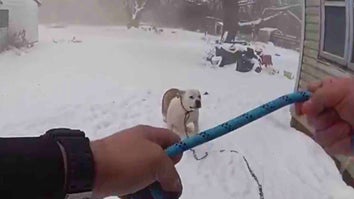 officer about to leash dog in snow