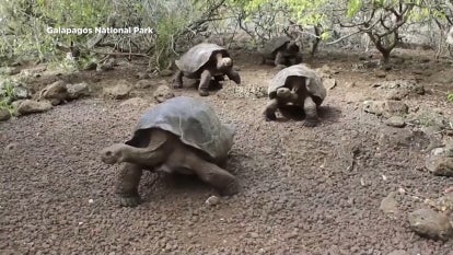 Galapagos National Park