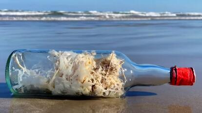 Glass bottle on beach 