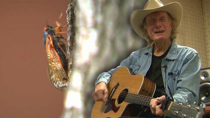 Country songwriter Wood Newton has a new song called ‘Cicada Serenade’ that was inspired by the historic bloom of cicadas around the United States.