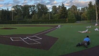 baseball players and game officials get on ground