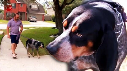 Mark Bautsch and his dog