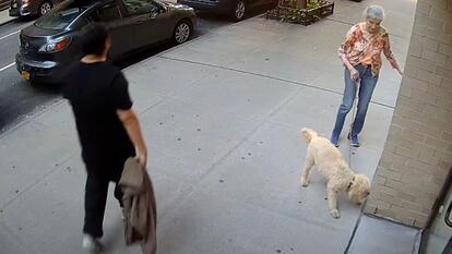 man walking in direction of woman with her dog