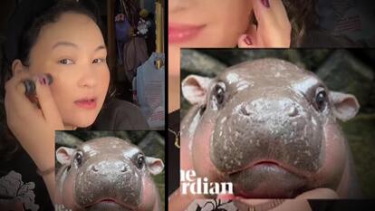 Pygmy hippo, Moo Deng, is inspiring makeup trends and businesses.