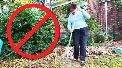 Forbidden, Woman raking leaves