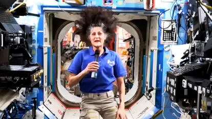 Astronaut Sunita Williams