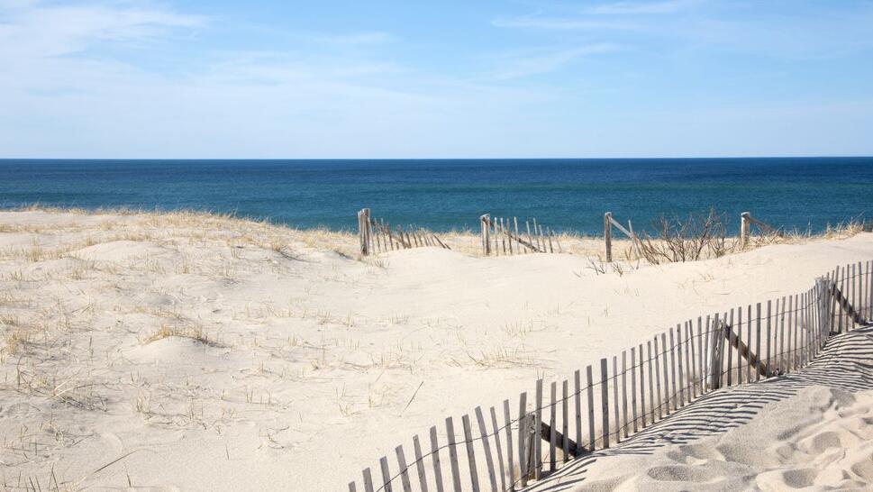 cape cod beach with fences