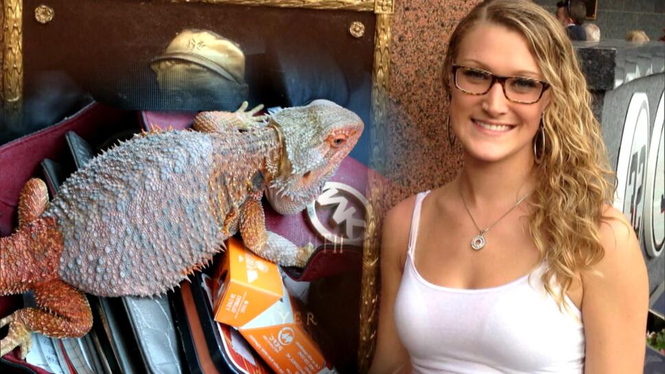 California Woman and Her Pet Bearded Dragon Vanish During Road Trip to Wedding