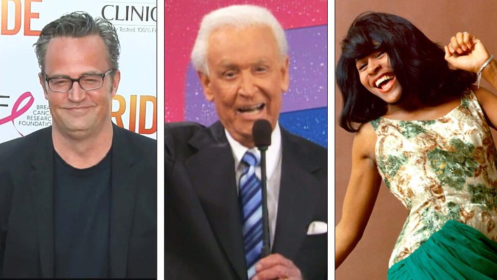 Matthew Perry/ Bob Barker/ Tina Turner