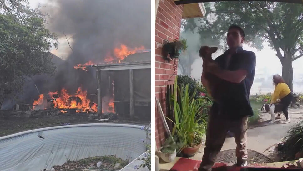 16-Year-Old Risks Life to Save Dogs Trapped in Florida House Fire