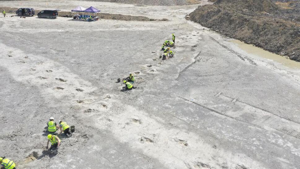 Paleontologists are calling the Dewars Farm Quarry, in Oxfordshire, England, a "Dinosaur Highway" because of 200 sets of footprints from the Middle Jurassic period.